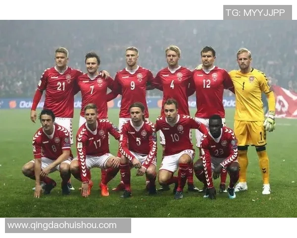 德国与挪威足球比赛统计分析及关键数据解读