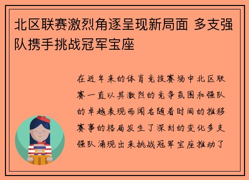 北区联赛激烈角逐呈现新局面 多支强队携手挑战冠军宝座