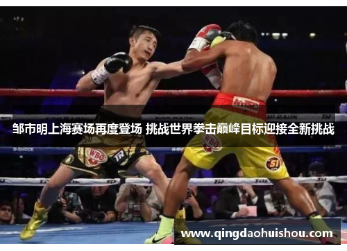 邹市明上海赛场再度登场 挑战世界拳击巅峰目标迎接全新挑战
