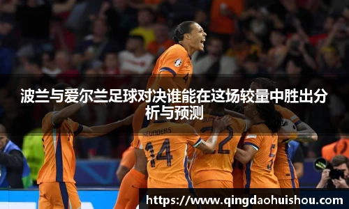 波兰与爱尔兰足球对决谁能在这场较量中胜出分析与预测