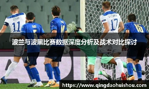 波兰与波黑比赛数据深度分析及战术对比探讨